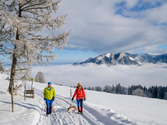 Über einen letzten aussichtsreichen Abschnitt mit Blick zu Heuberg geht es hinauf.