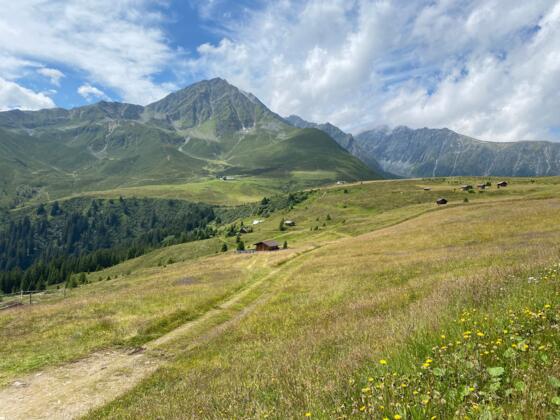 Blick über die Bergwiesen zur Krimpenbachalm und zum 2646 m hohen Rosskogel.