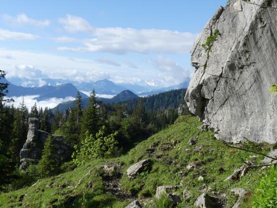 Störungsfläche an einem Block von Wettersteinkalk
