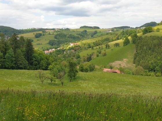 Kleinramingtal (vom Ausläufer des Dambergrückens aus gesehen)