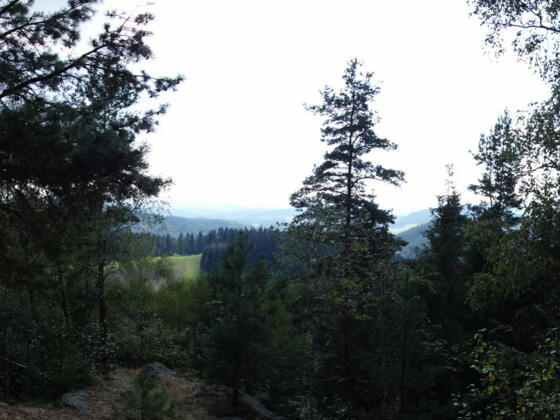 Aussicht nach Süden