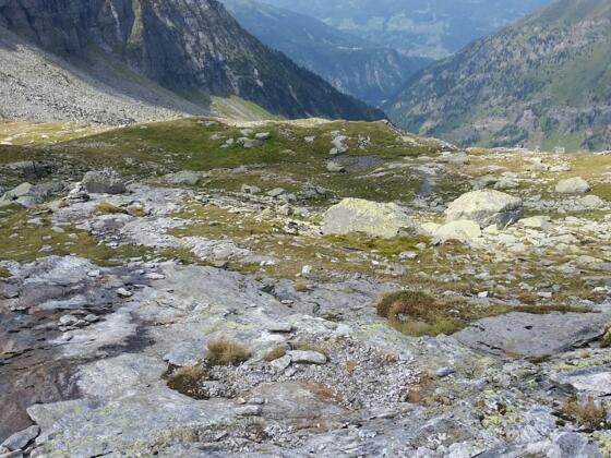 Abfahrt richtung Brennersee
