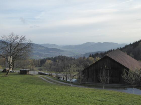 Blick von Unternebling