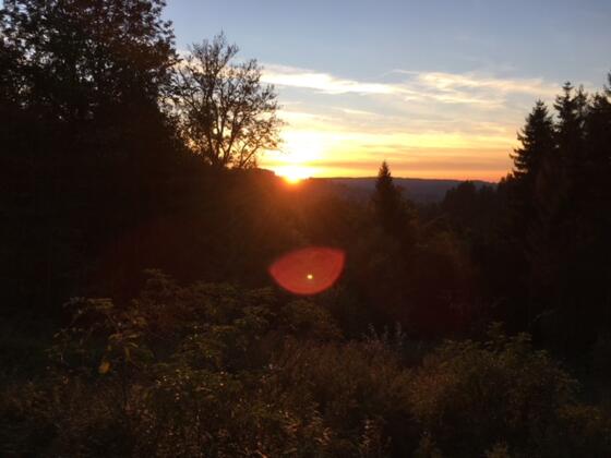 Sonnenuntergang an der Alpe Hohenschwand