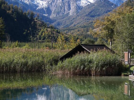 Die Berge des Toten Gebirges spiegeln sich im Almsee.