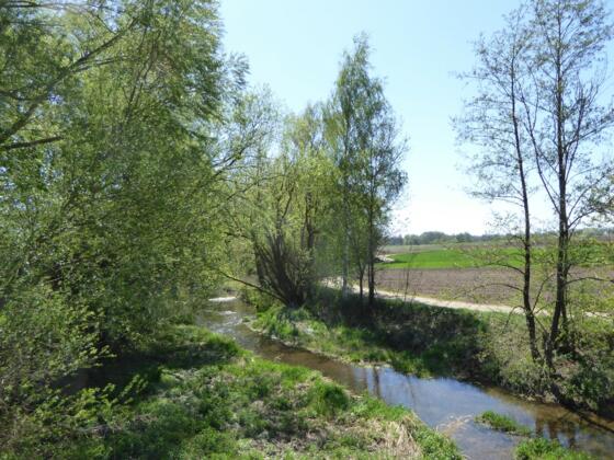 Alte Laber