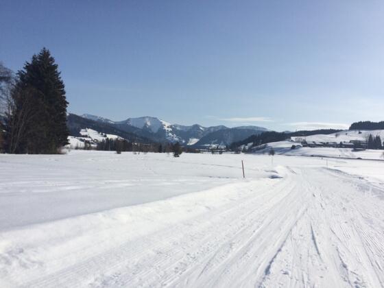 Hochgratblick