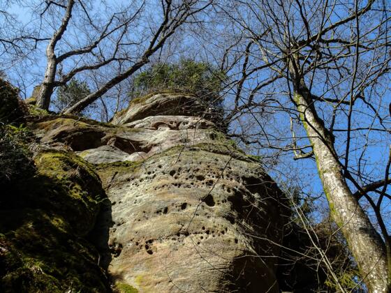 Felsblöcke aus Burgsandstein