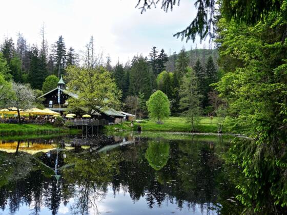 Schwellhäusl am Schwellweiher