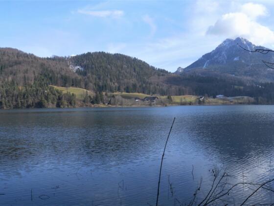 Feldberg und Schober