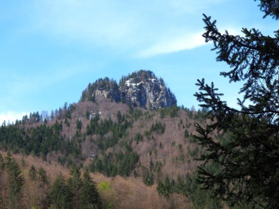 Donnerstein 1251m