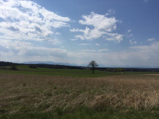 Bergblick bei Attenham Richtung Thanning