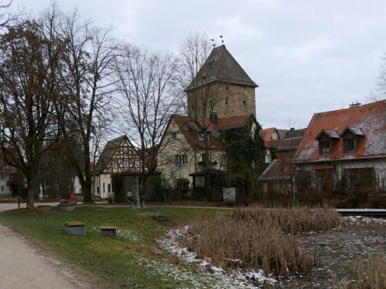 Rossweiher in Altdorf