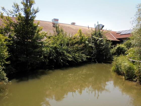 Ellermühle
