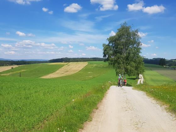 Anfahrt nach Rainbach