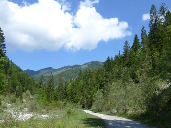 Im hinteren Gießenbachtal