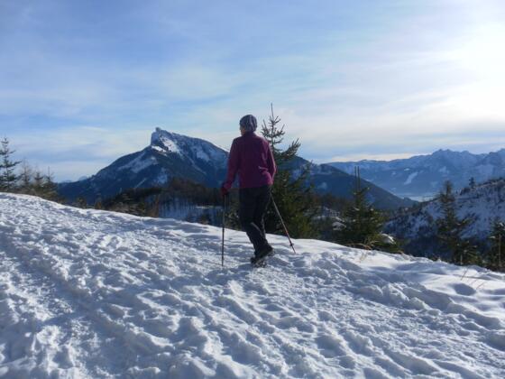 Schafbergblick