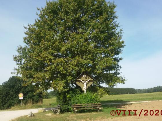 Wegkreuz  mit Aussichtsbank