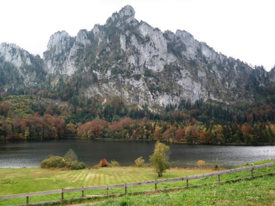 Der idyllische Laudachsee und der Katzenstein dahinter.