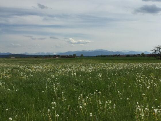 Super Panorama bei Aufhofen