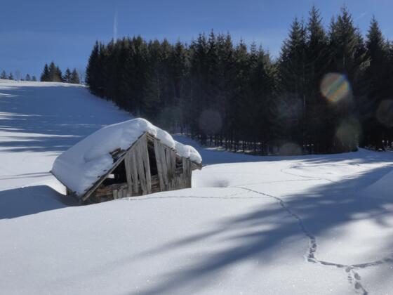 Winterlandschaft im Quellgebiet der Wertach