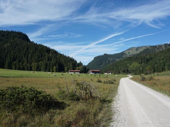 Röthelmoosalm