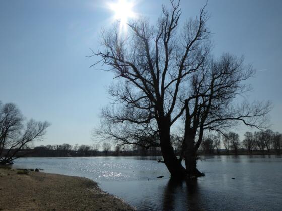 Blick auf die Donau