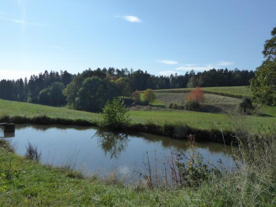 Kurz nach Hagnzell