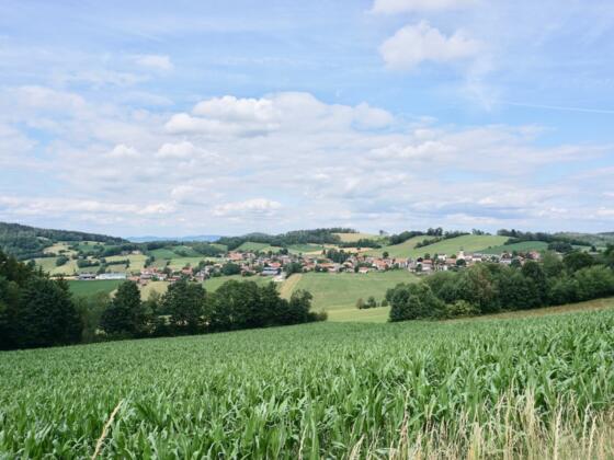 Blick auf Rittsteig
