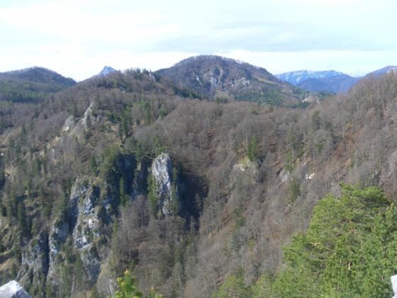 Plomberg von der Drachenwand