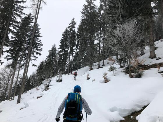 Aufstieg durch den Wald auf ca. 1000m Höhe