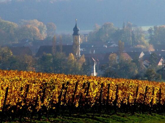 Michelau im Steigerwald