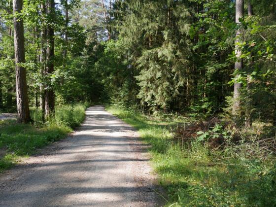 Zeidlerweg