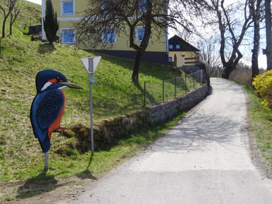 Der riesige Eisvogel zeigt den Start des Weges