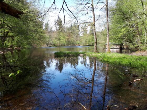 Bootshütte am Huckinger See