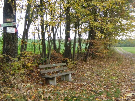 Botzeitbankerl