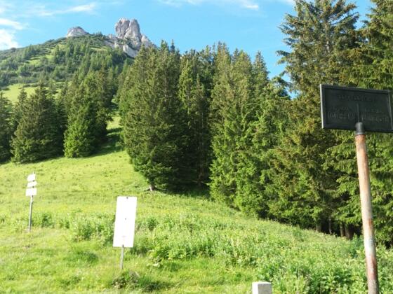 Grasiger Sarojasattel, 1637 m, mit erstem Blick zu den Drei Schwestern.