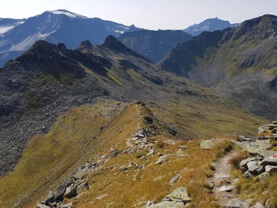 Weg auf den Zittauer Tisch / Blick zurück Richtung Otto Reichert Weg