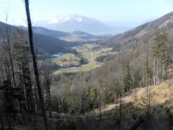 Tiefblick aus der Schneise
