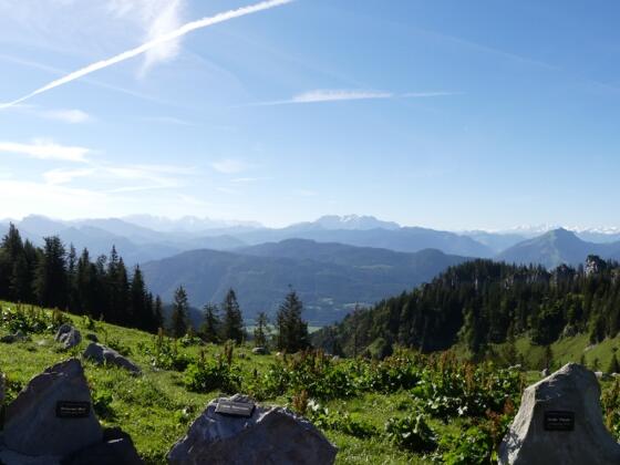 Alpenpanorama mit Gesteinsblöcken