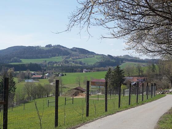 Untergrub mit Blick zum Gallner