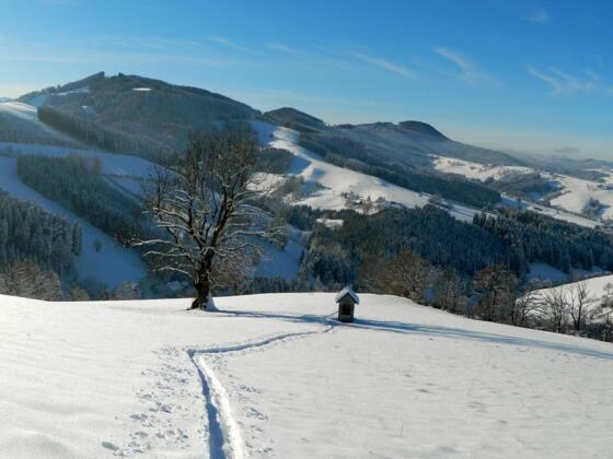 Blick vom Briefberg zum Glasenberg