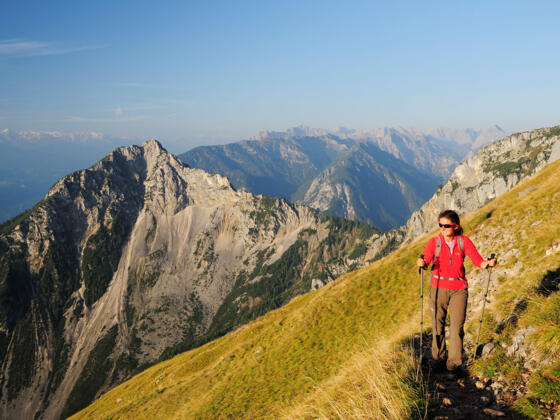 Durch südseitige Grasflanken steigt der Weg zum Vorderen Sonnwendjoch auf.