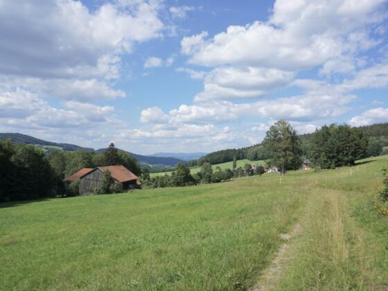 im Riedbachtal - gleich geht es rechts bergauf