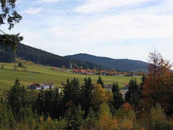 Blick zur Sommerrodelbahn vom Weg nach Grün