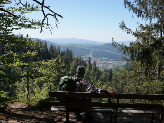 Schweiklruhe mit Blick nach Bodenmais und Gaiskopf/Einödriegel