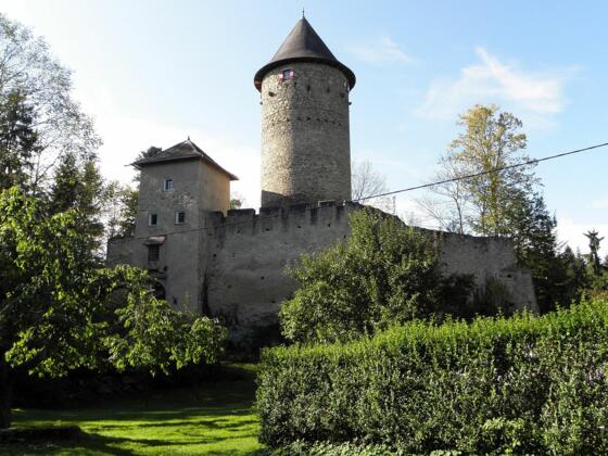 Burg Dornach