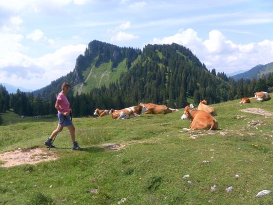 Heuraffelkopf