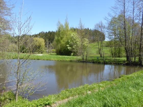 Weiher am Spitalbach