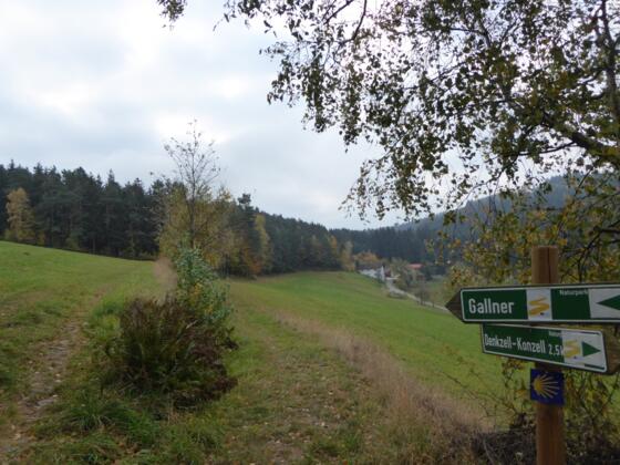 Blick zurück